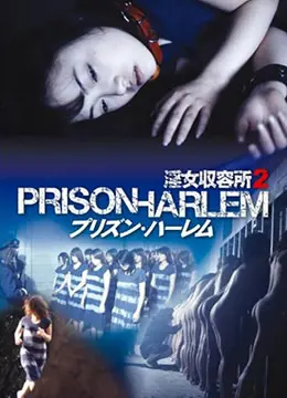 淫女收留所2 海报