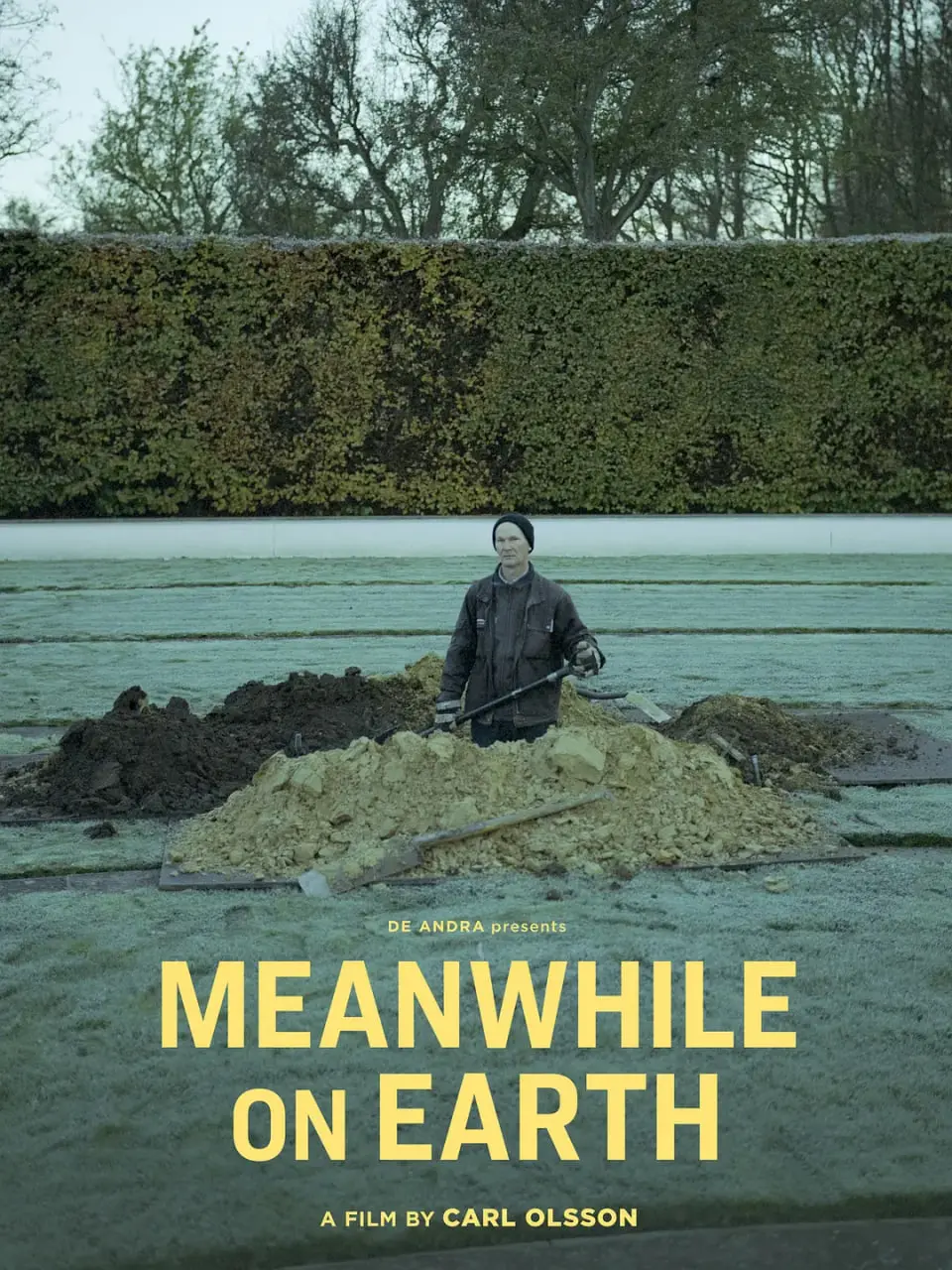 《同在地球上》：一部触及灵魂的动物纪录片，关于生命、爱与共存