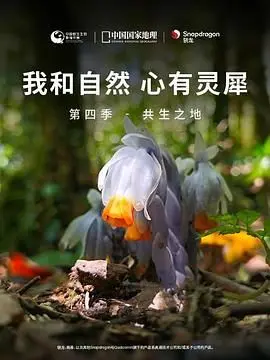 《我和自然 心有灵犀》第四季：共生之地 - 探索人与自然的和谐共存